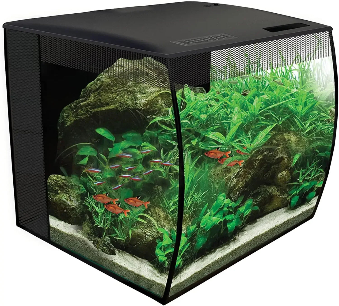 Flex Freshwater Aquarium Kit – 15 Gallon,