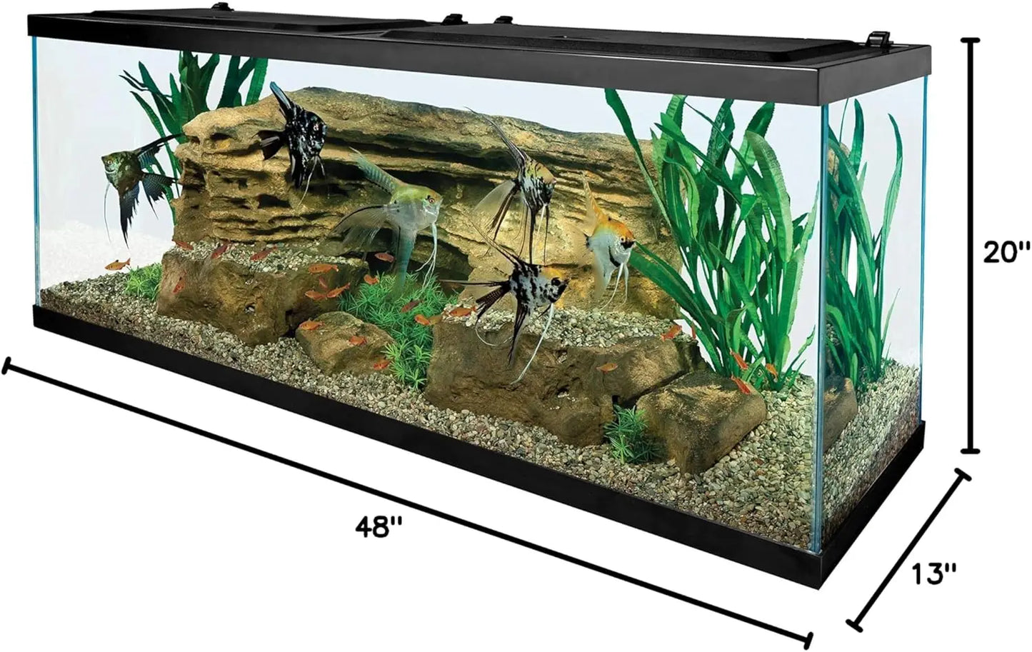 Glass Aquarium 55 Gallons, Rectangular Fish Tank
