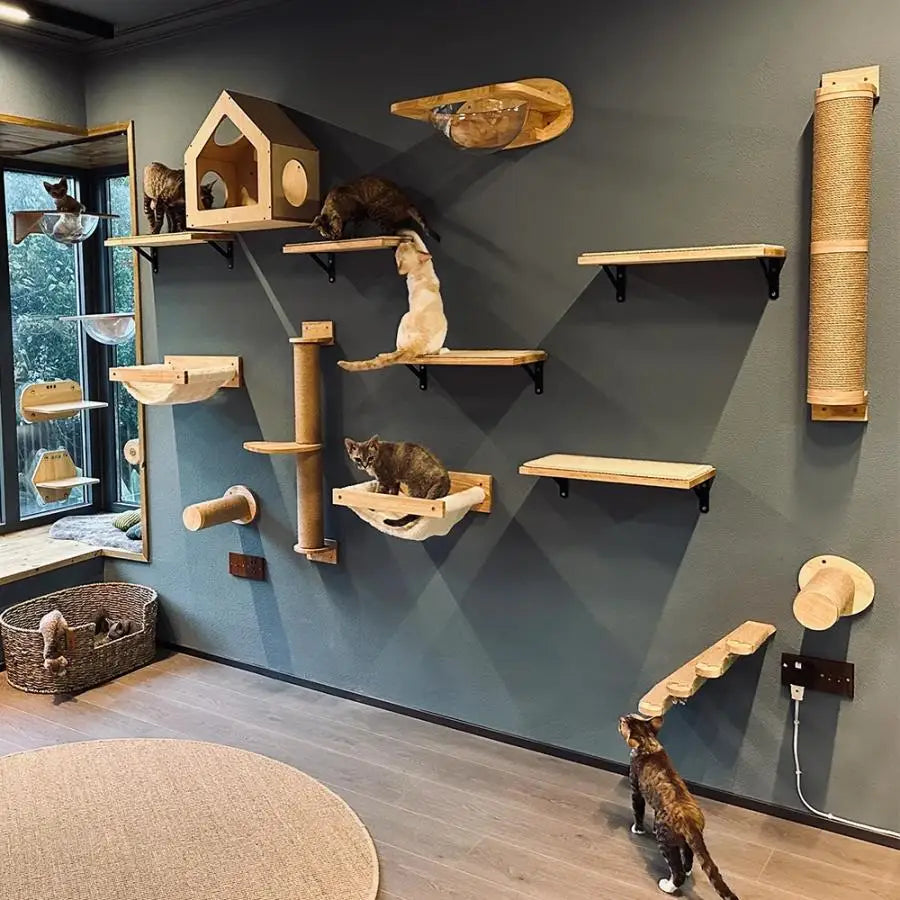 Cat Tree Wall Mounted Climbing Shelves with Ladder.