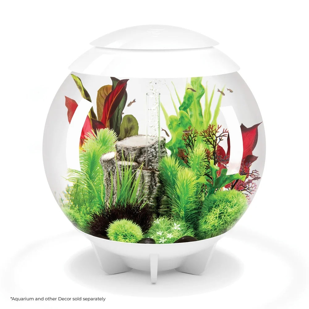Green Red Silk Aquarium Plant Set Decoration