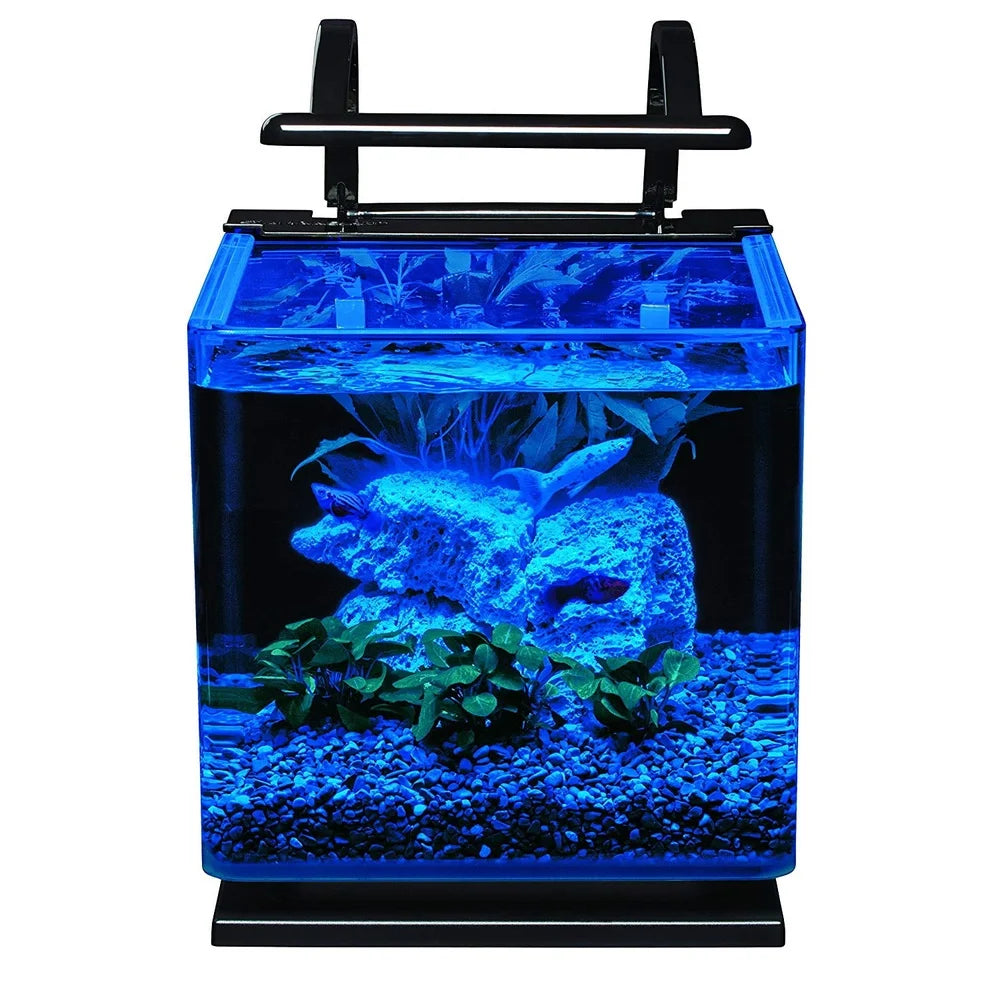 3 Gallon Aquarium Kit Hidden Filtration Full View