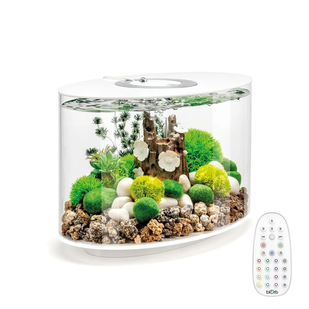 15 Gallon Aquarium with MCR Light, Decoration