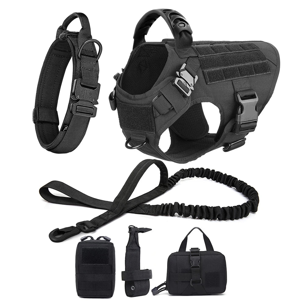 Large Padded Dog Harness And Leash Set