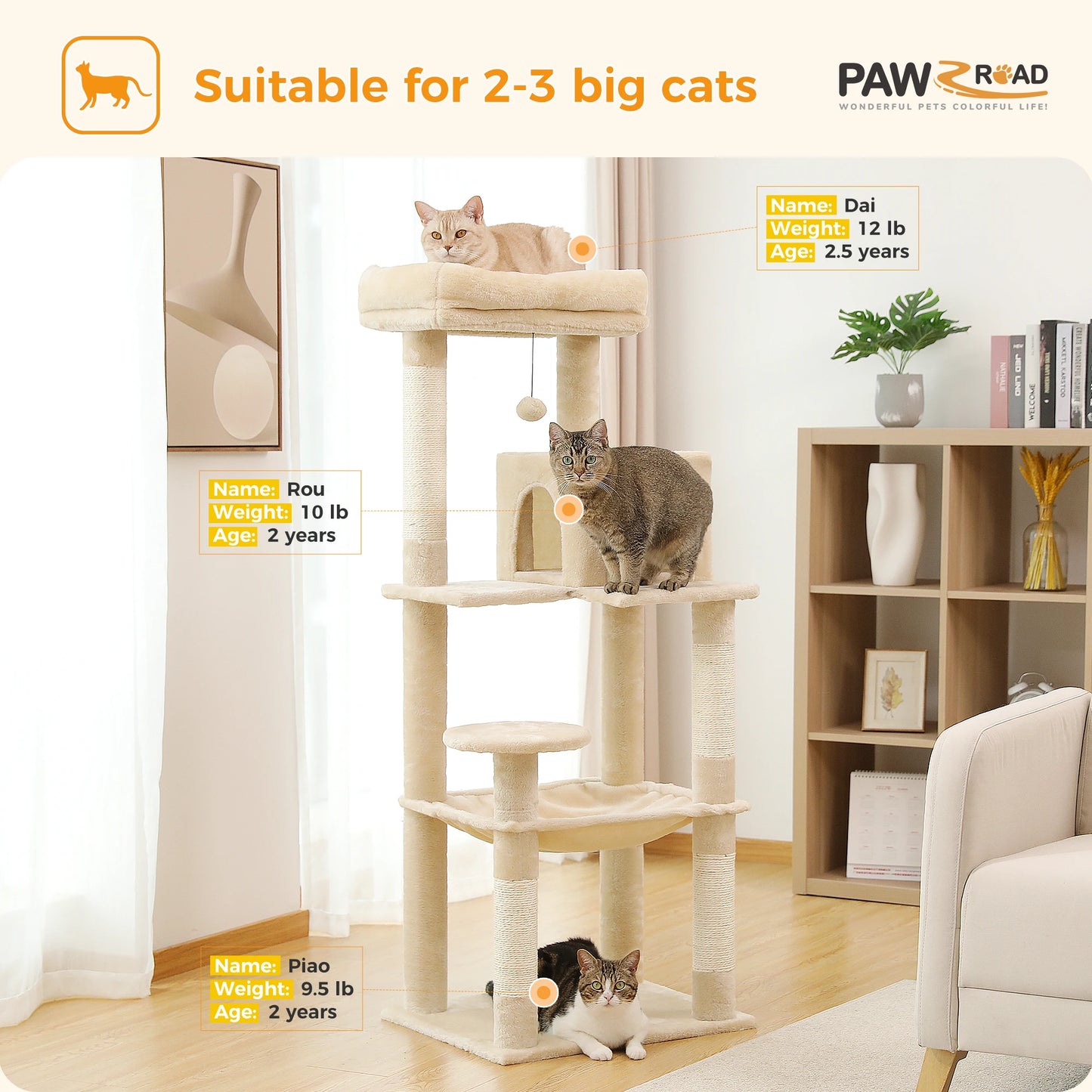 Cat Tree 5-Level Tower.
