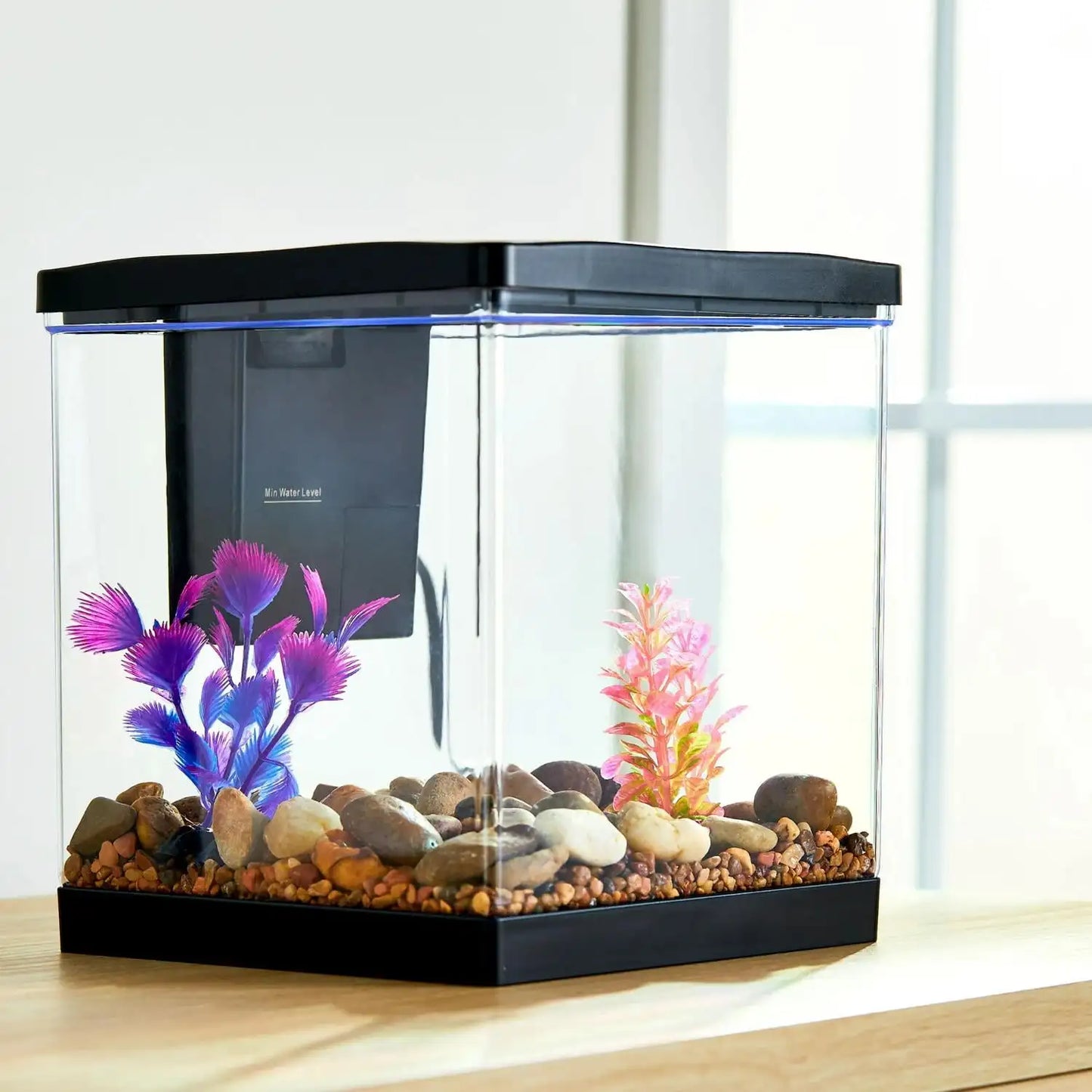1.5 Gallon Plastic Aquarium w/Light