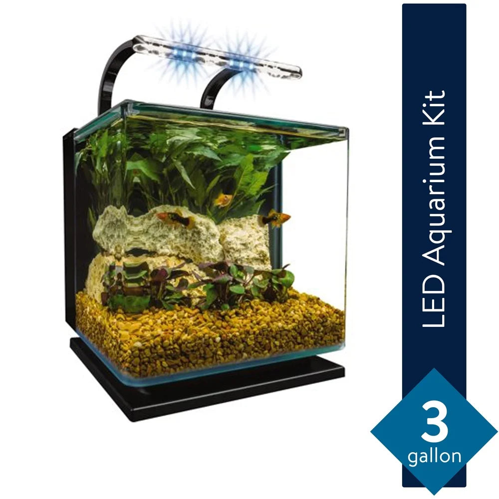 3 Gallon Aquarium Kit Hidden Filtration Full View
