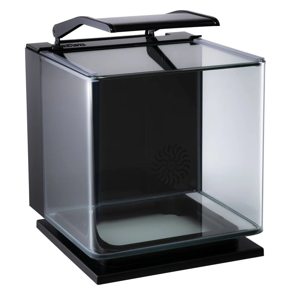 3 Gallon Betta Aquarium Kit with Lighting