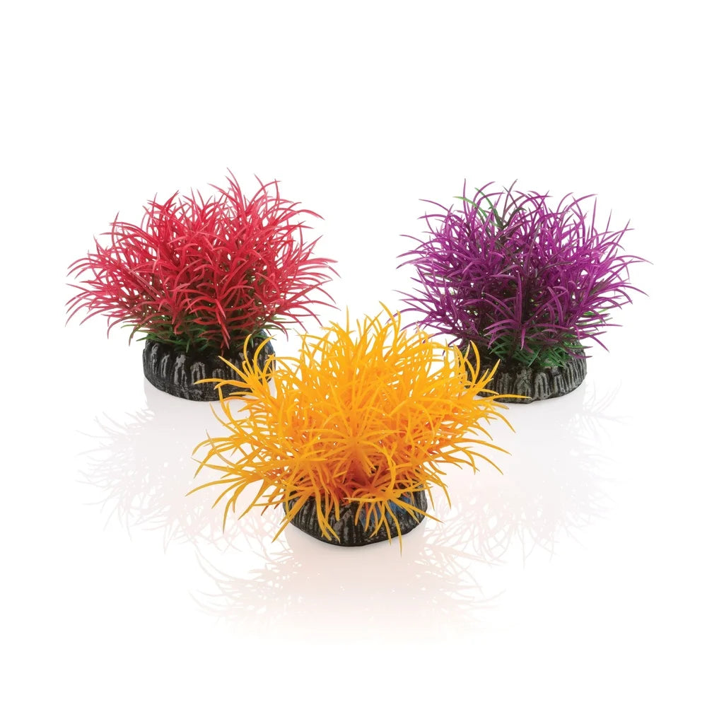 Aquarium Plant Decoration Aquatic Color