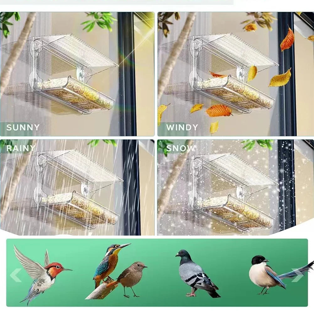 Window Mounted Bird Feeder with Strong Suction Cups