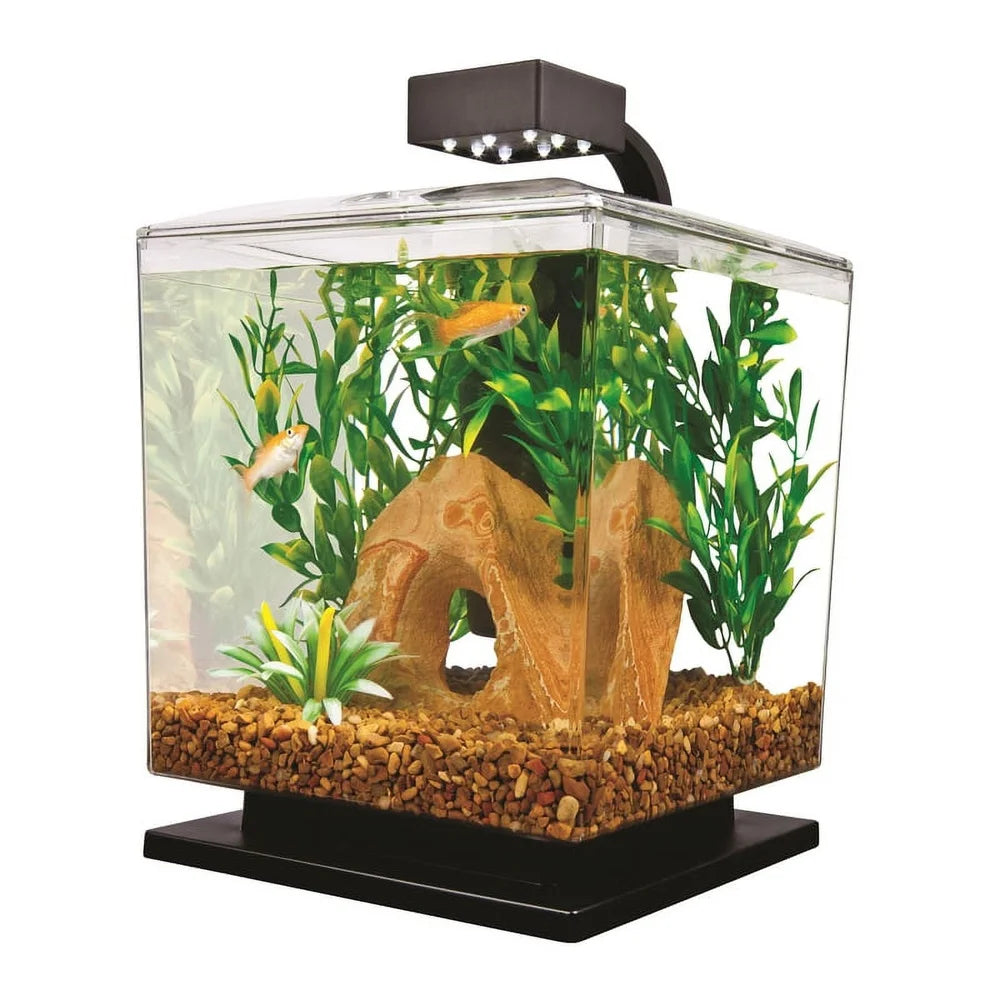 LED Aquarium Kit 1.5 Gallon Cube Tank