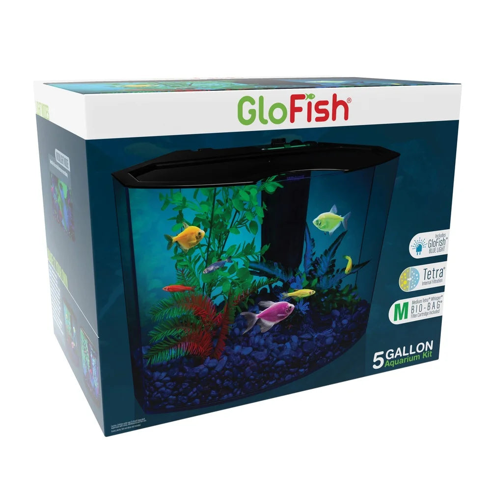 5 Gallon Aquarium Kit with Light Fluorescent