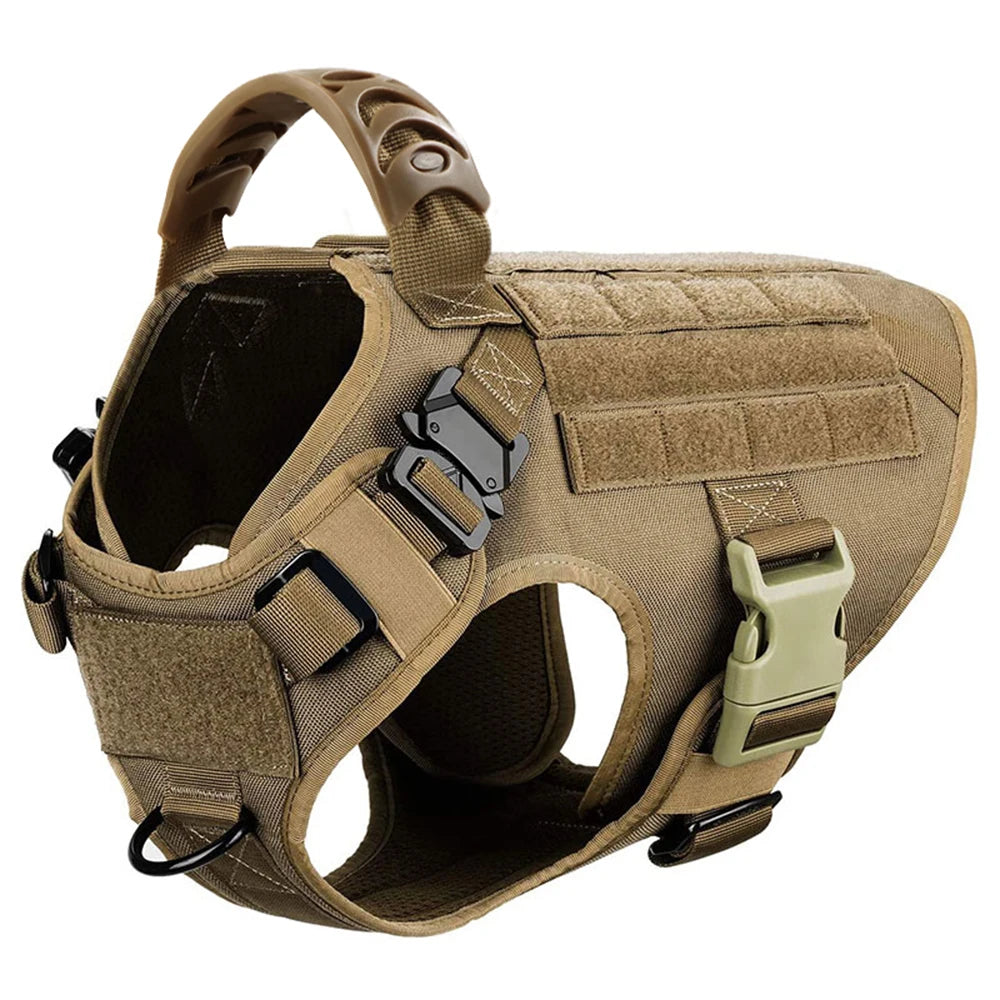 Large Padded Dog Harness And Leash Set