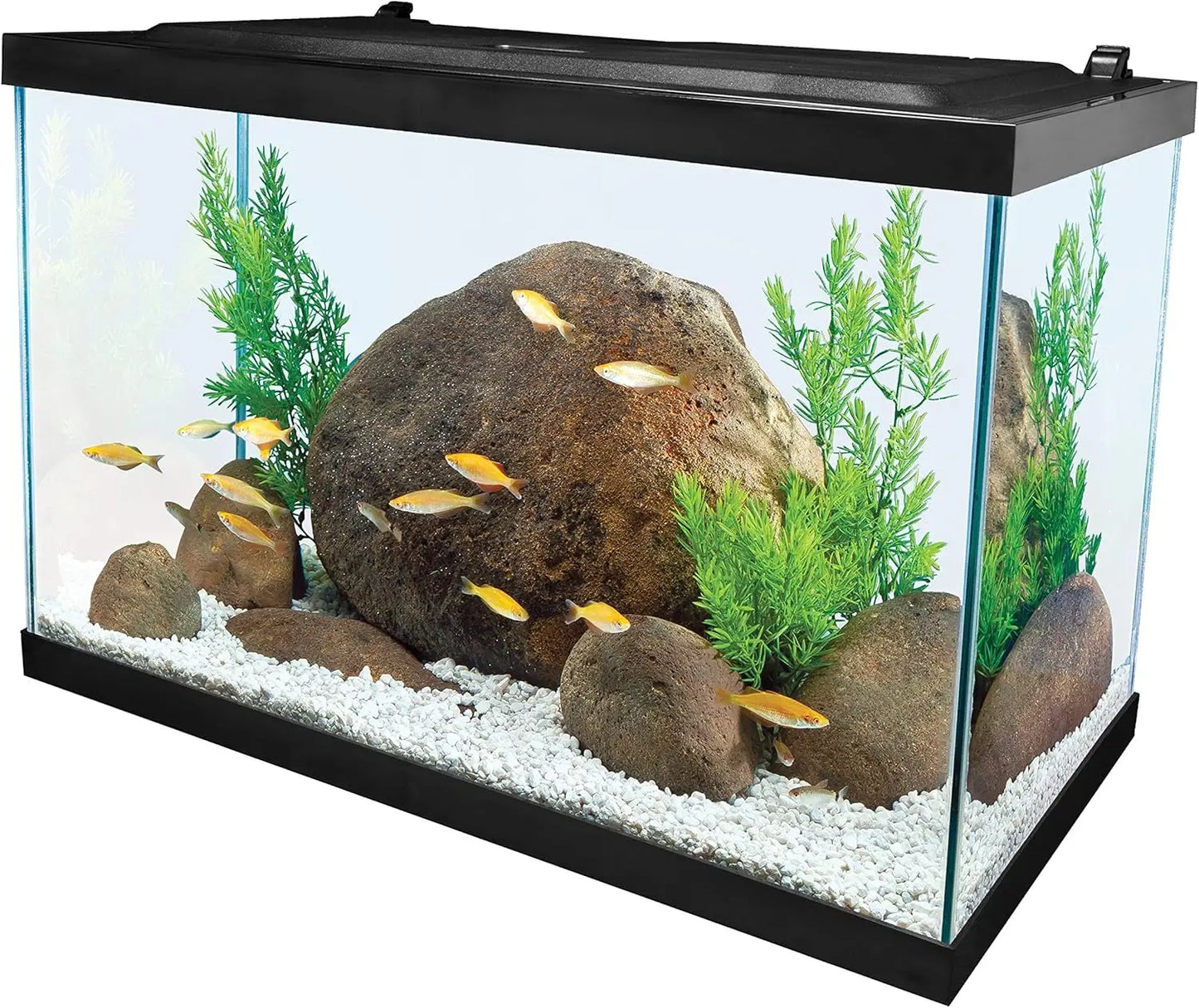 Glass Aquarium 55 Gallons, Rectangular Fish Tank