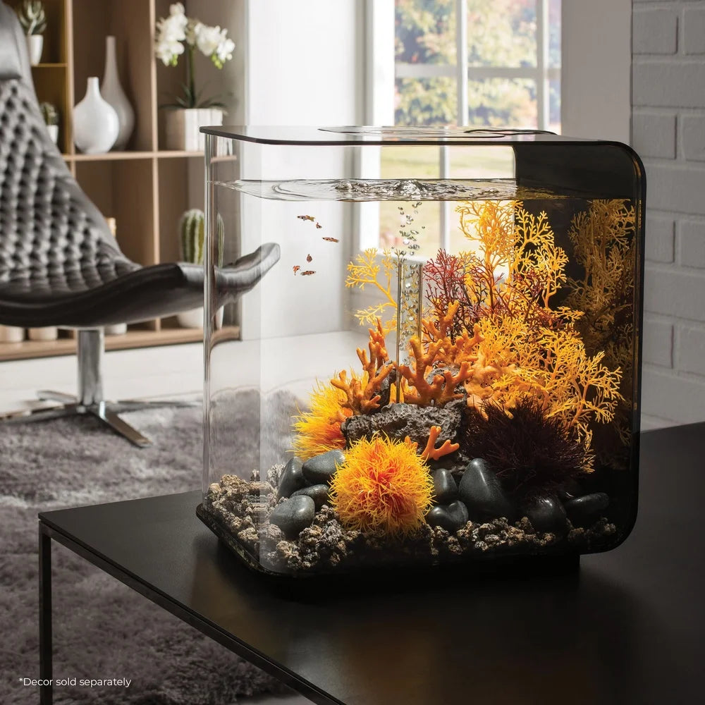 Acrylic Aquarium 8 Gallon with Light
