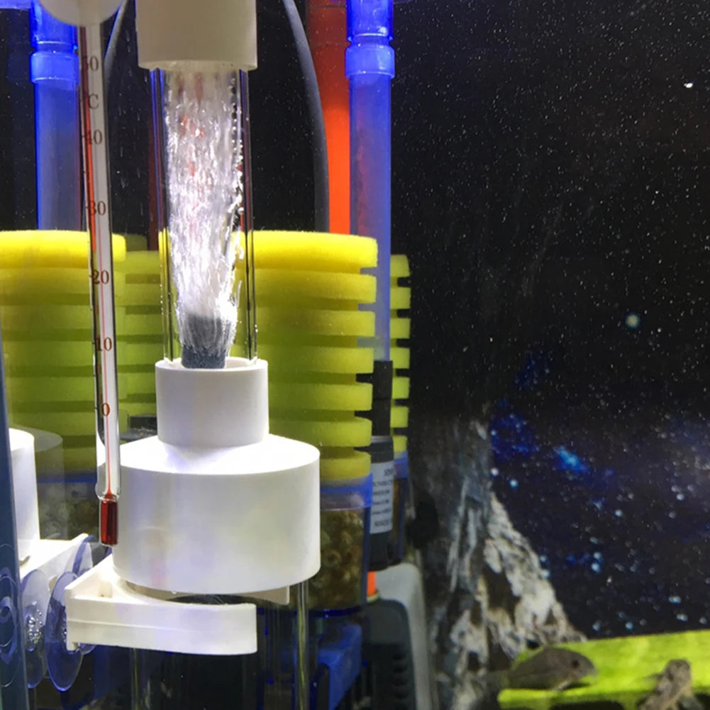 40mm Incubator Fish Hatchery Cichlids Hatchery Eggs