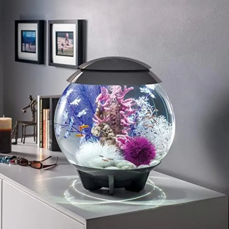 Acrylic 4-Gallon Aquarium with Multi-Color Remote