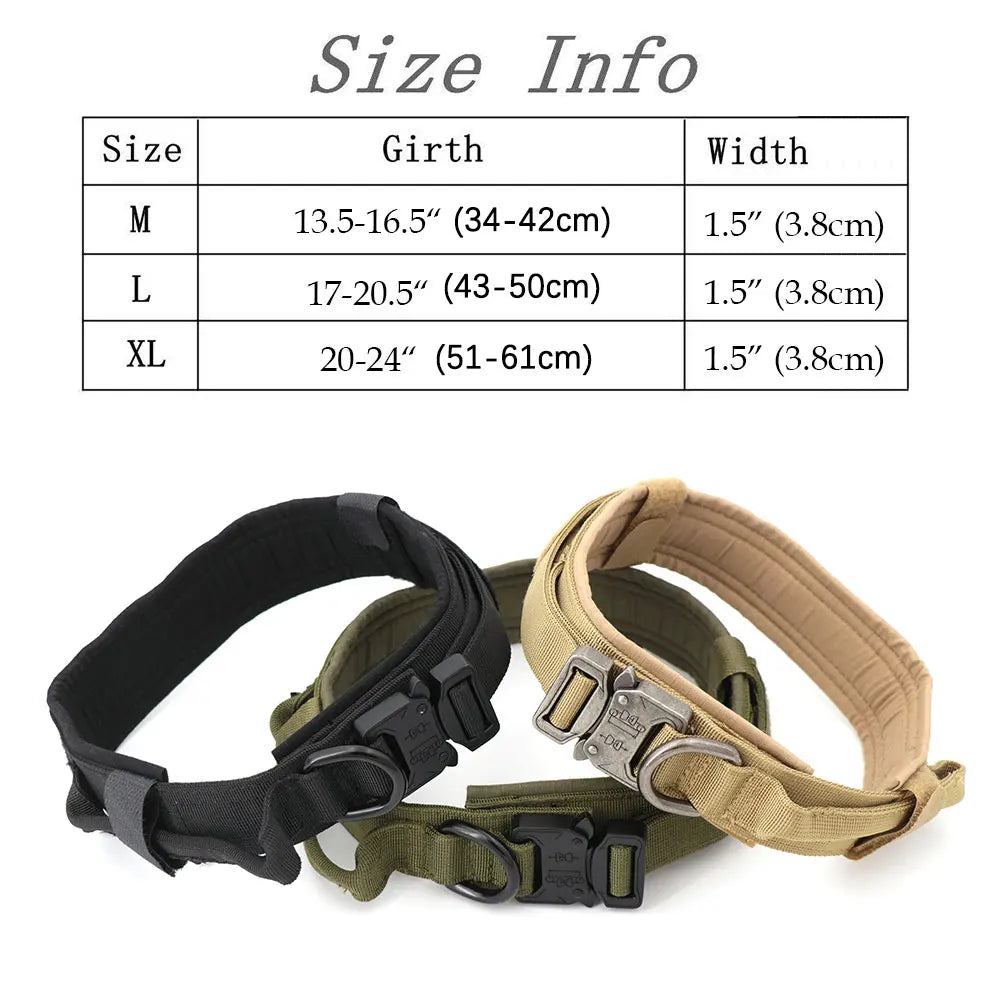 Large Padded Dog Harness And Leash Set