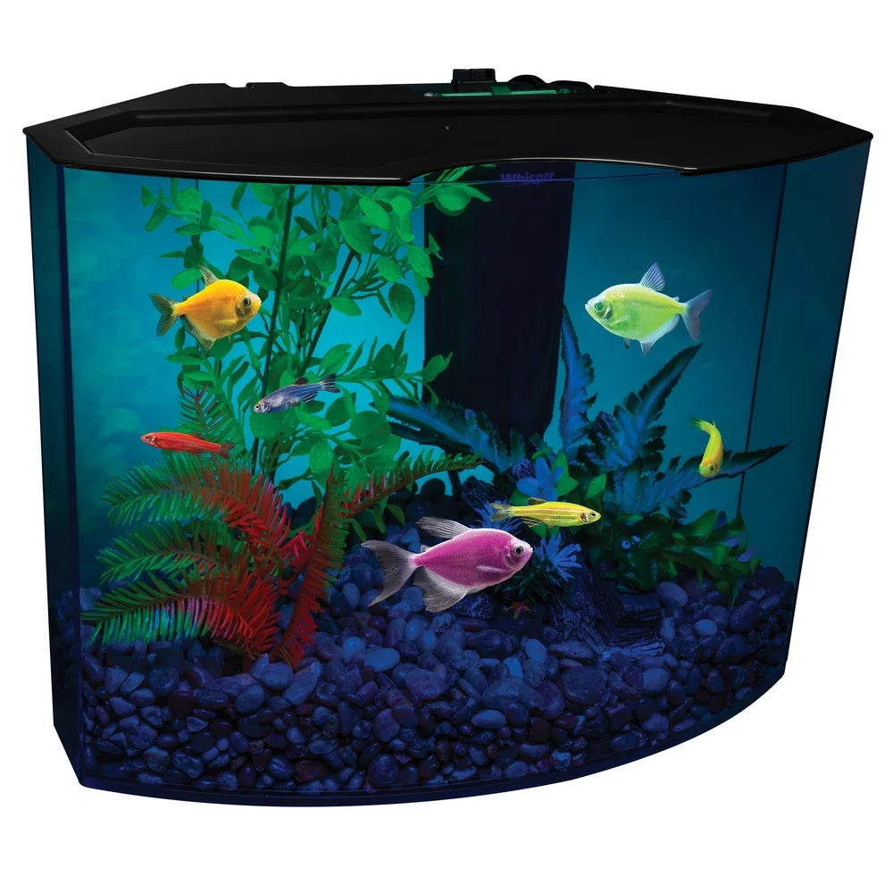 5 Gallon Aquarium Kit with Light Fluorescent