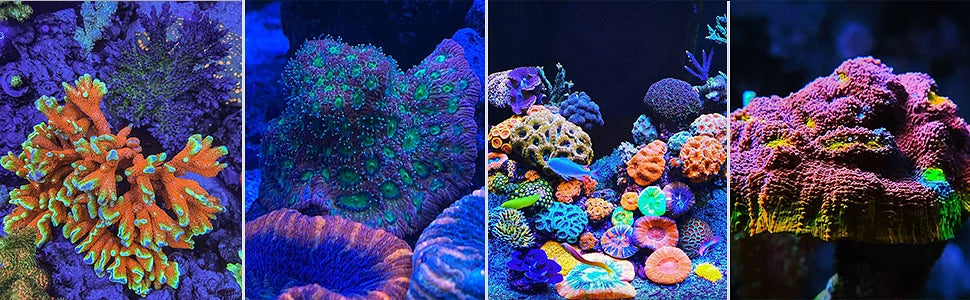 RL90 WiFi Aquarium LED Lighting 100W, Marine Tank.