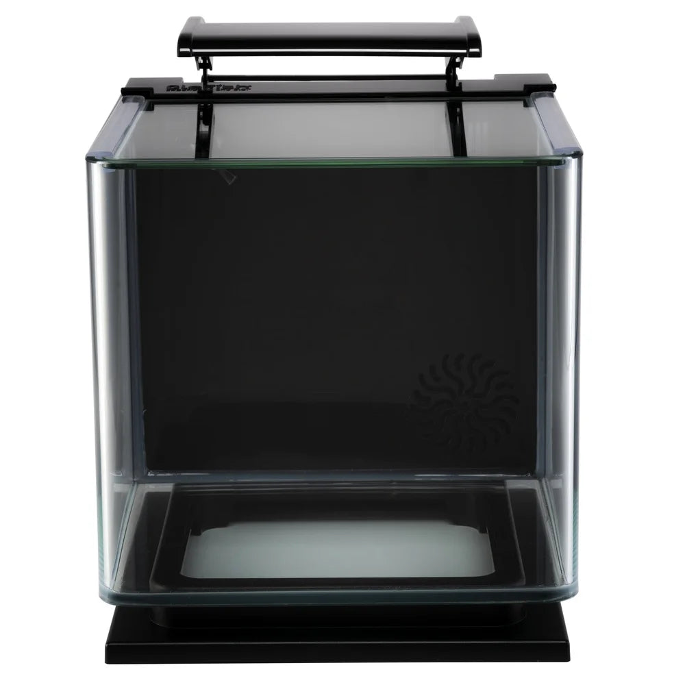 3 Gallon Betta Aquarium Kit with Lighting