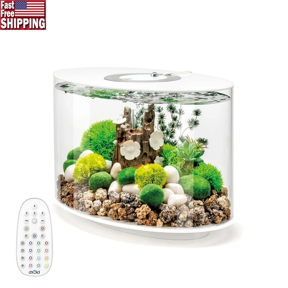 15 Gallon Aquarium with MCR Light, Decoration