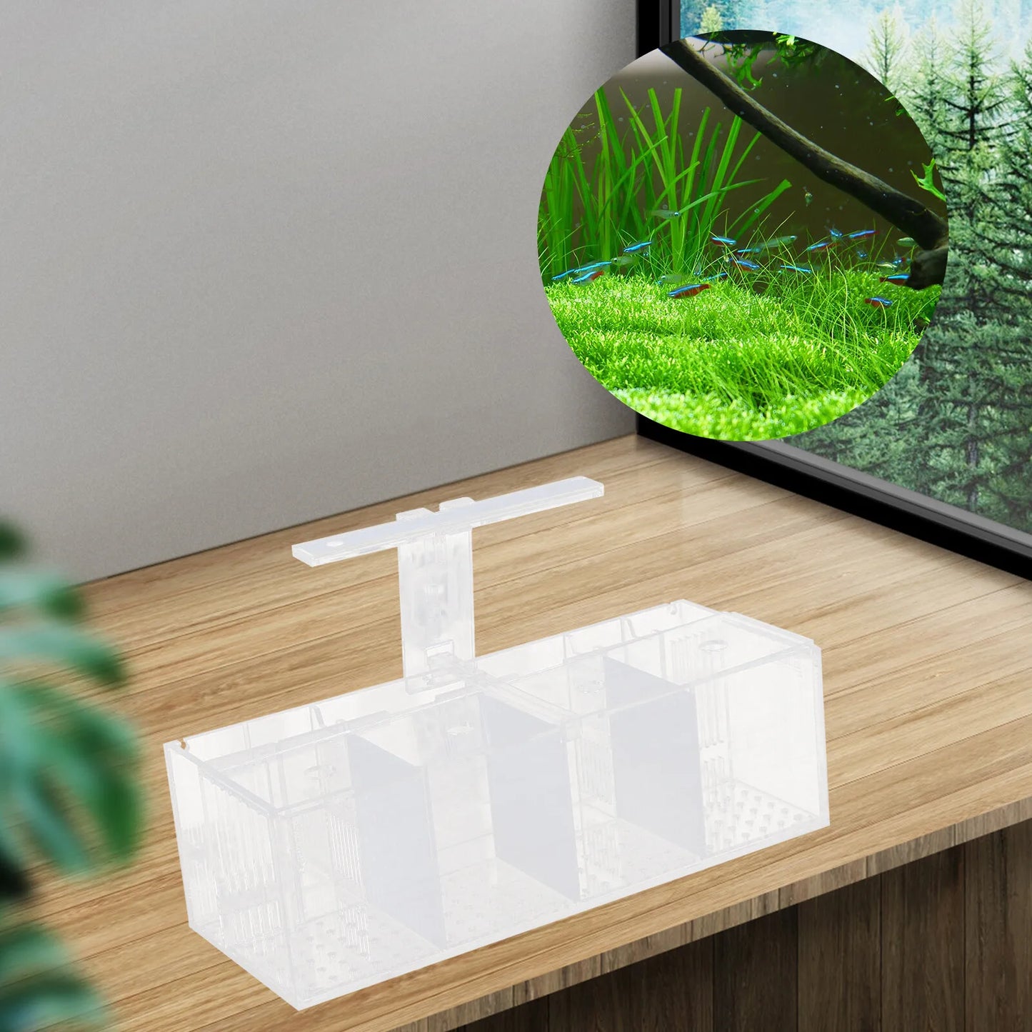 Aquaponic Betta Tank USB-Powered Aquaponic Betta Tank