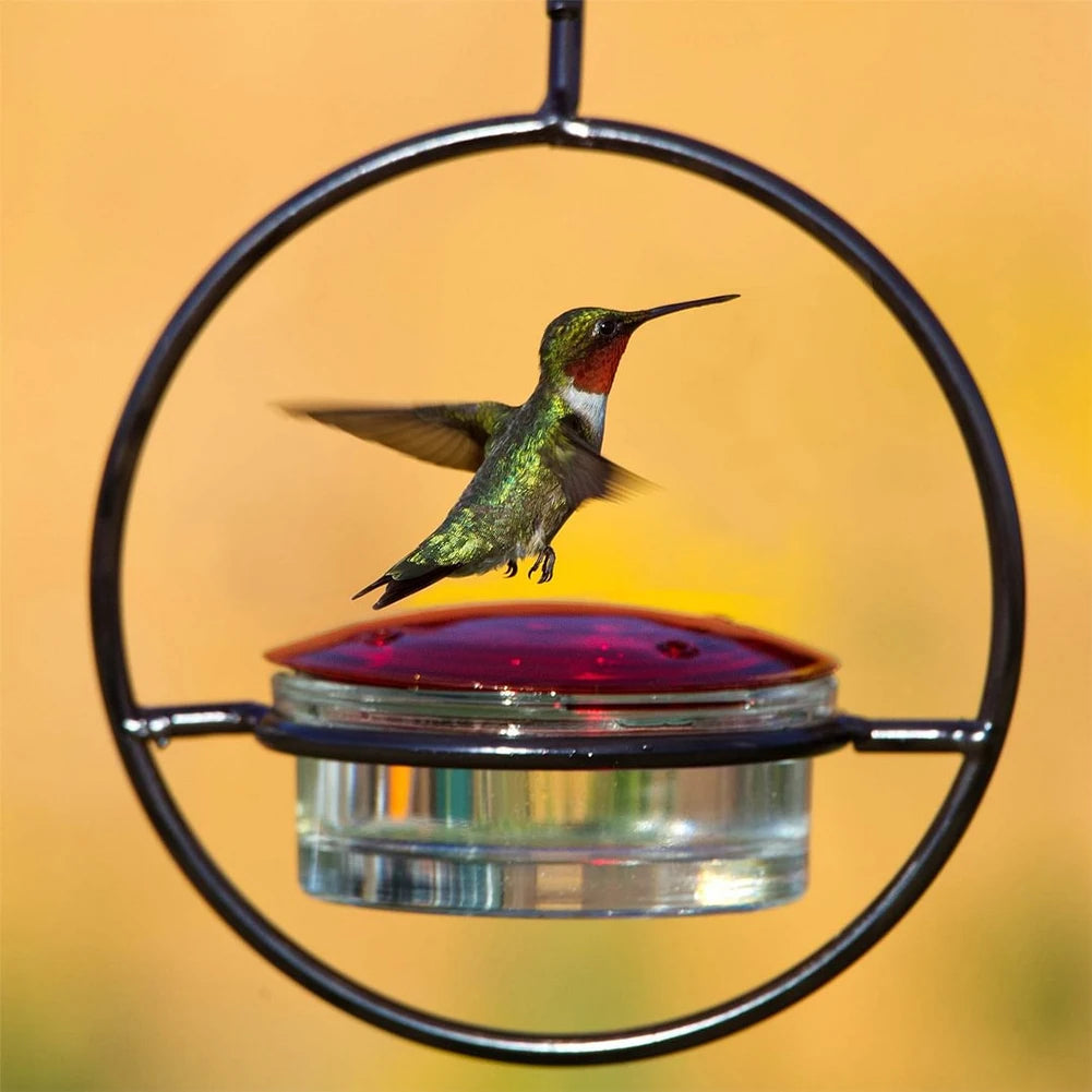 Hummingbird Drinker Feeder with Red Glass Bowl
