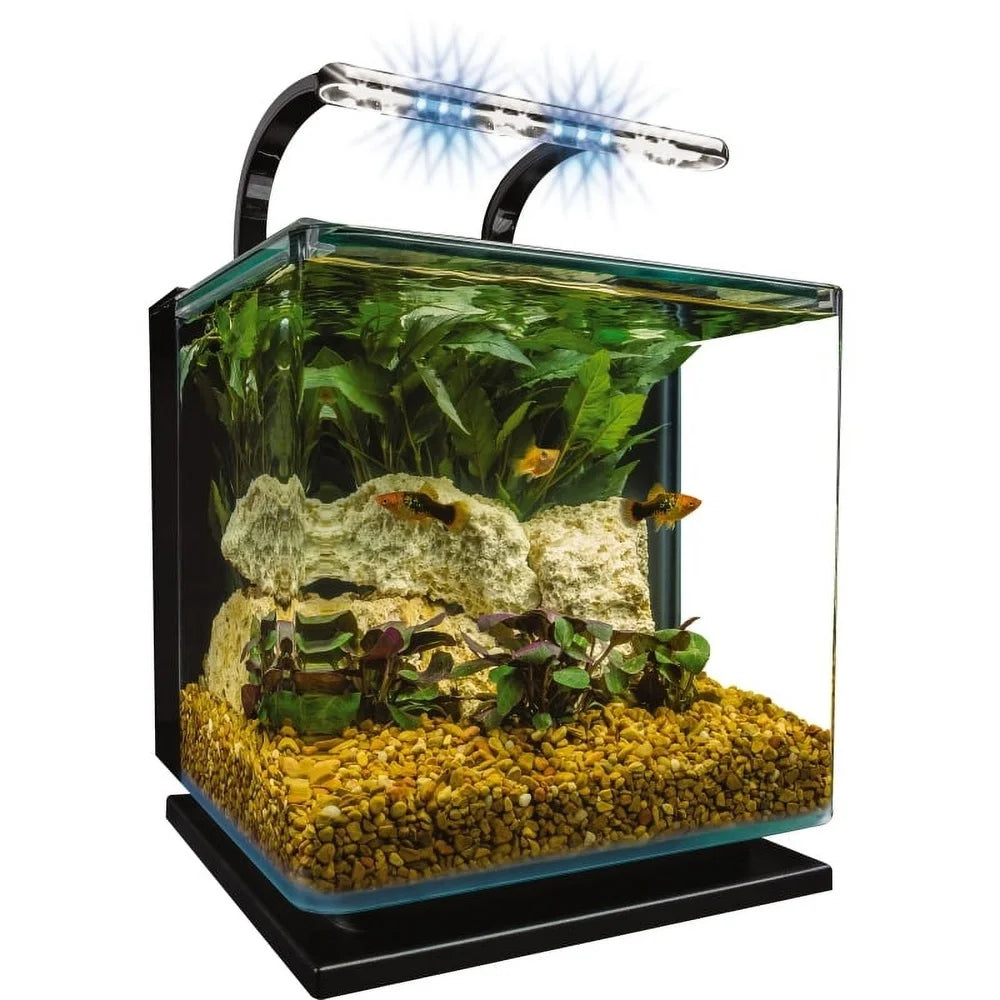 3 Gallon Aquarium Kit Hidden Filtration Full View