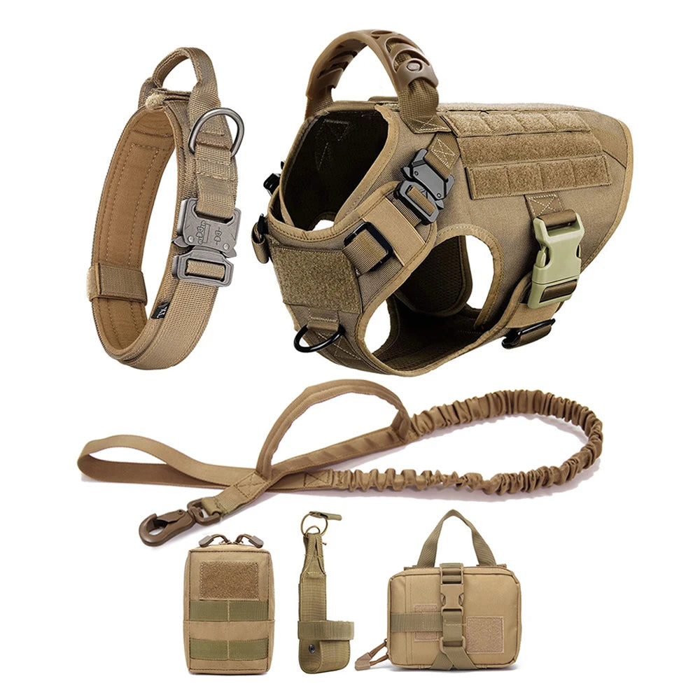 Large Padded Dog Harness And Leash Set