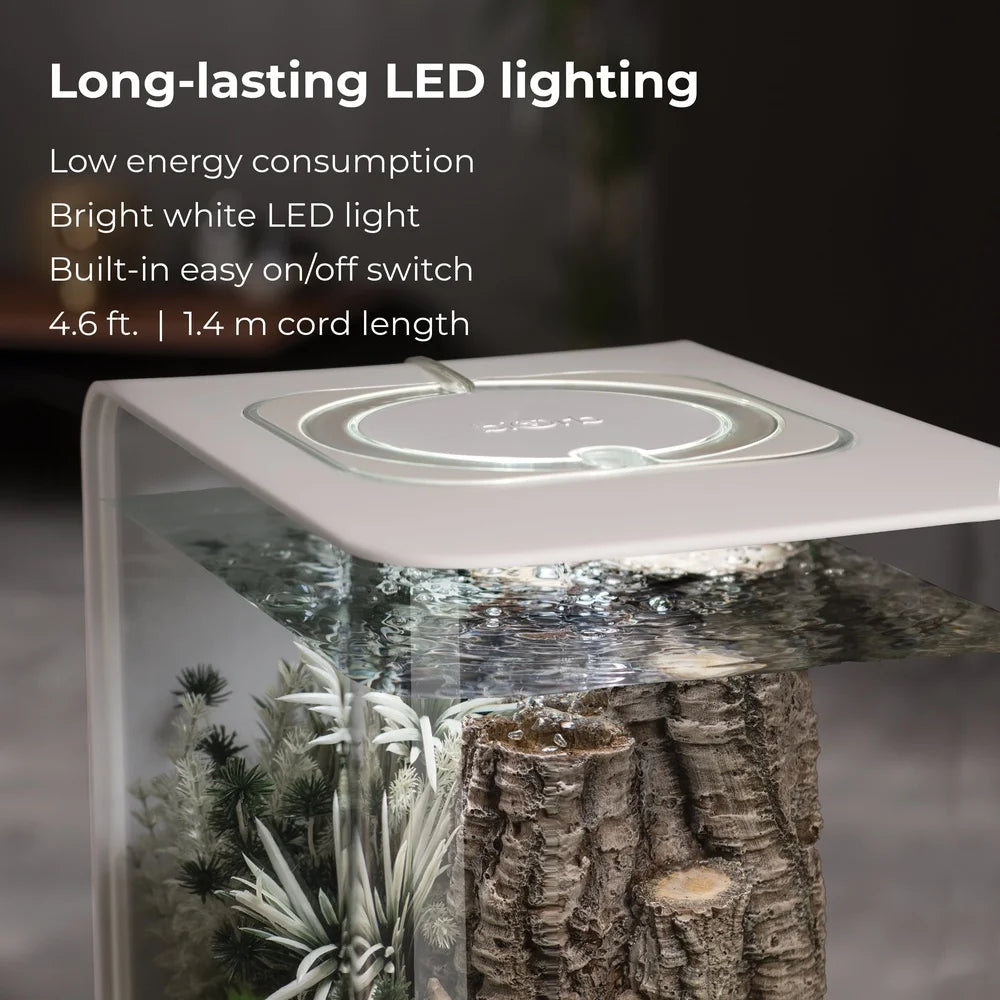 Acrylic Aquarium 8 Gallon with Light