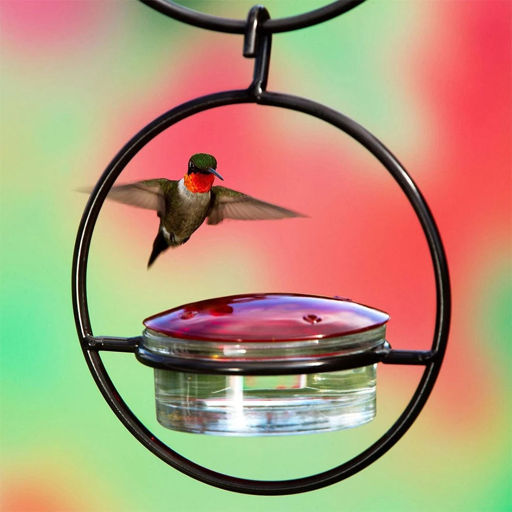 Hummingbird Drinker Feeder with Red Glass Bowl