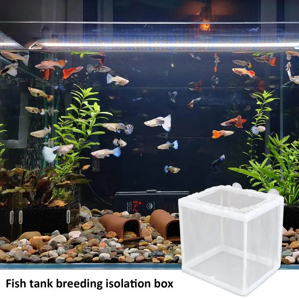 Aquarium Isolation Box, Fish Hatchery Breeding.