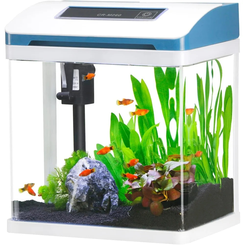 2 Gallon Glass Aquarium Starter Kit Self Cleaning