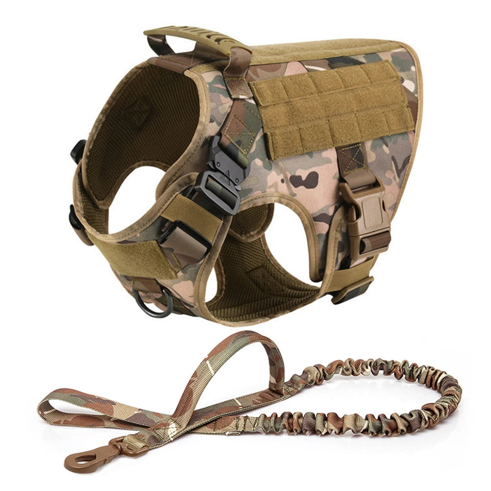 Large Padded Dog Harness And Leash Set
