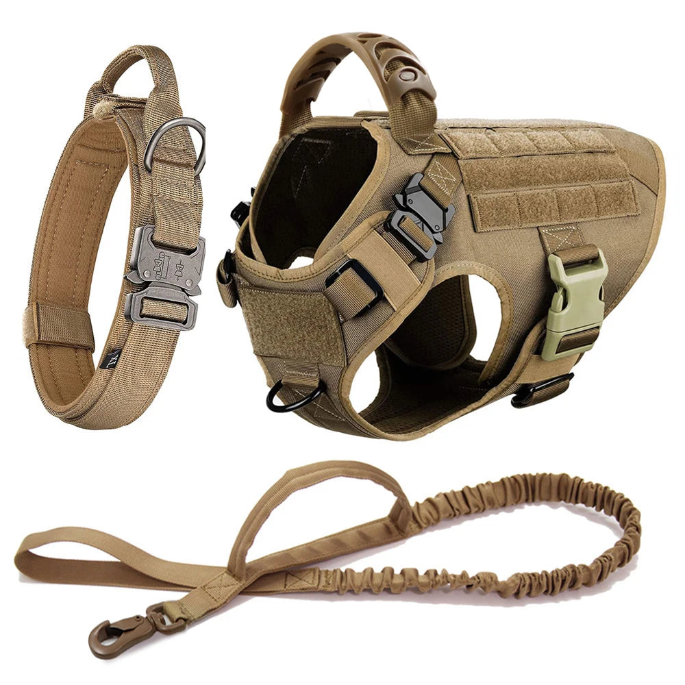 Large Padded Dog Harness And Leash Set