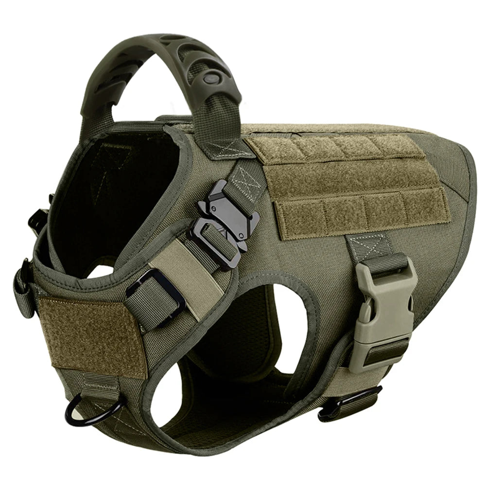 Large Padded Dog Harness And Leash Set