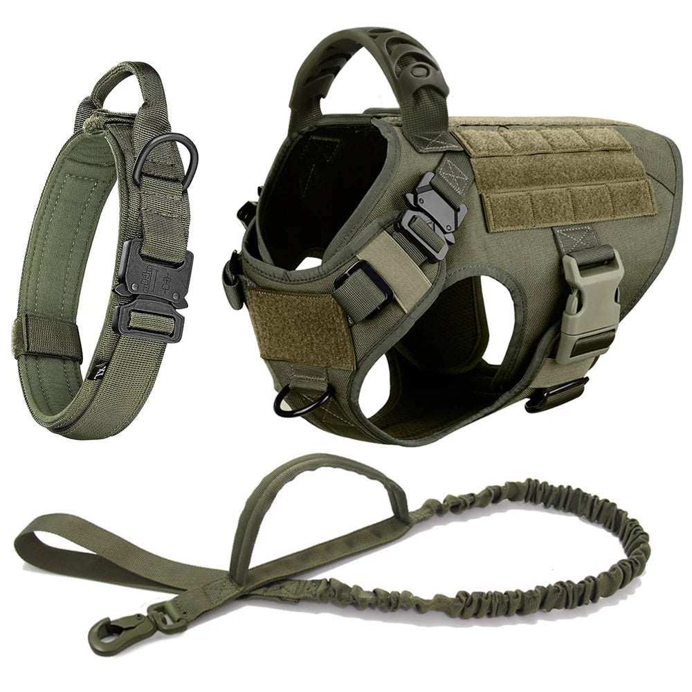 Large Padded Dog Harness And Leash Set