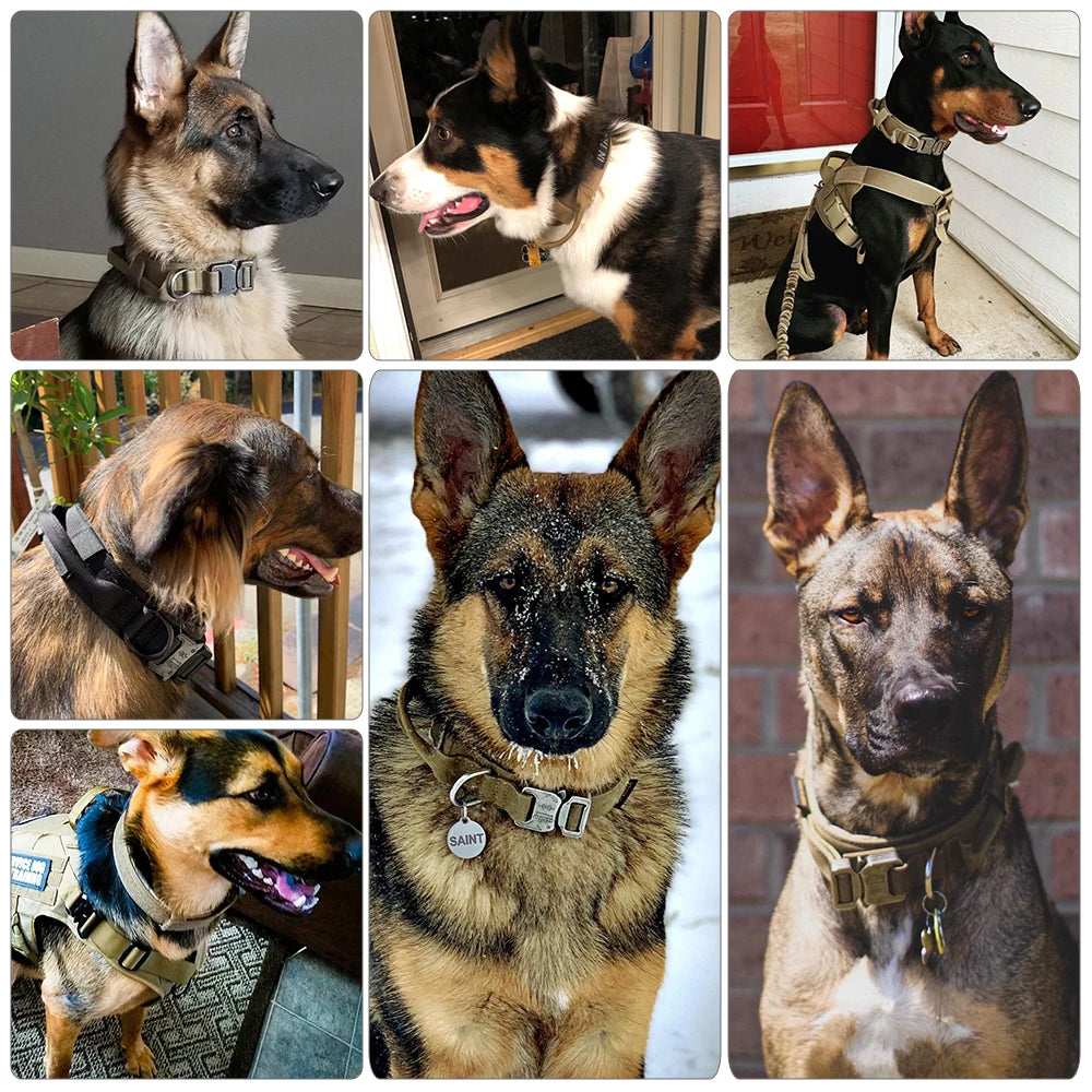 Dog Training Collar.  Tactical With Metal Buckle.