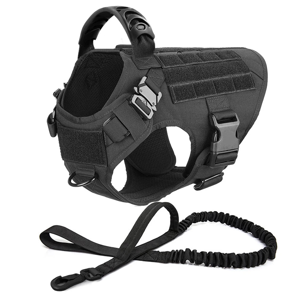 Large Padded Dog Harness And Leash Set