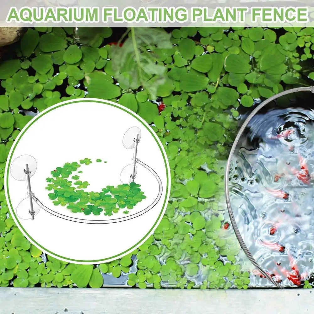 Plant Corral Fish Feeding Ring