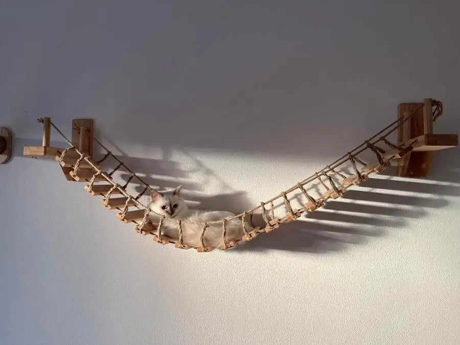 Cat Tree Wall Mounted Climbing Shelves with Ladder.