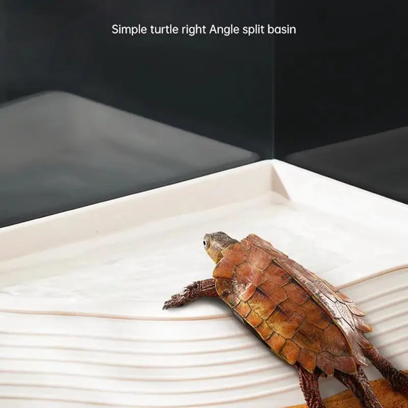 Reptile Bathing Pool Feeding Dish Water Bowl