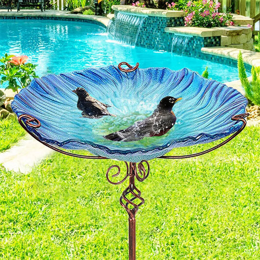 Glass Bird Bath with Fountain
