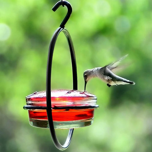 Hummingbird Drinker Feeder with Red Glass Bowl