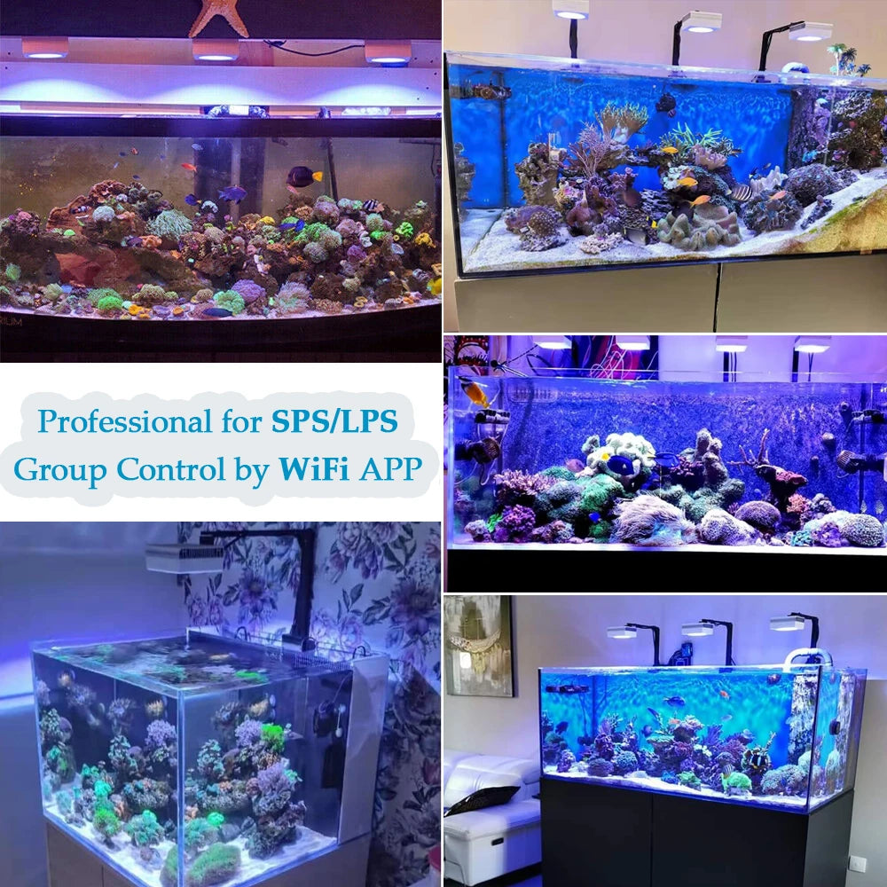 RL90 WiFi Aquarium LED Lighting 100W, Marine Tank.