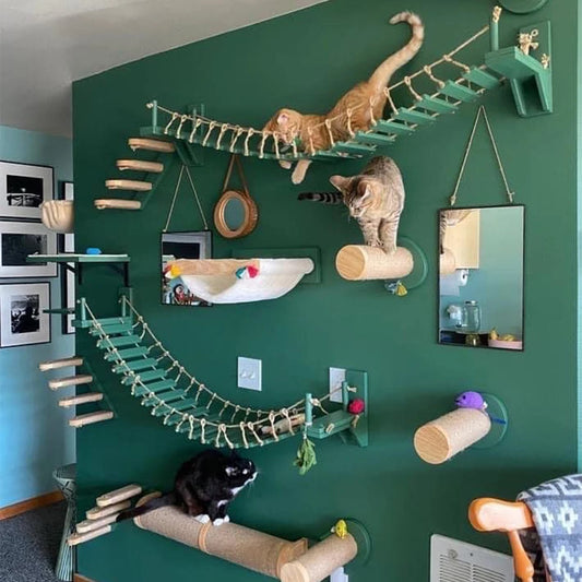 Cat Tree Wall Mounted Climbing Shelves with Ladder.