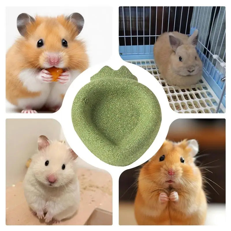 Chinchilla Chew Toys, Teething Toys Edible Food Bowl