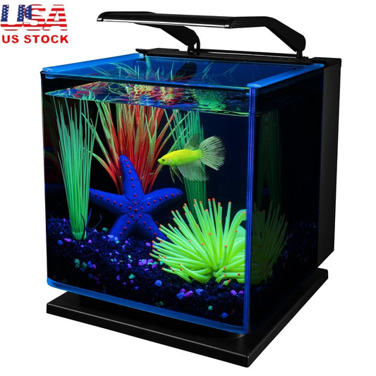 3 Gallon Betta Aquarium Kit with  Lighting