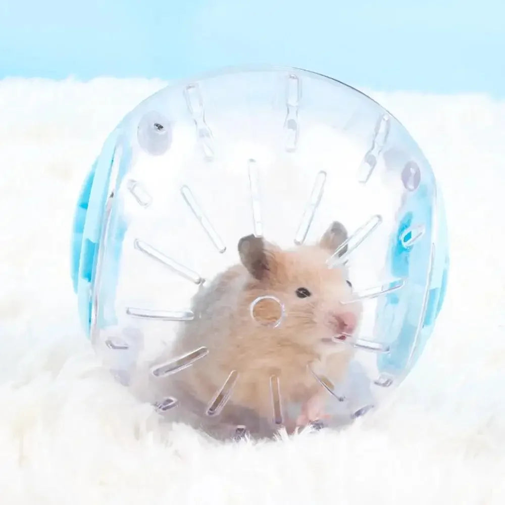 Plastic Outdoor Sport Ball Grounder Rat Small Pet