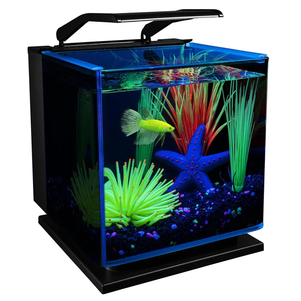 3 Gallon Betta Aquarium Kit with  Lighting